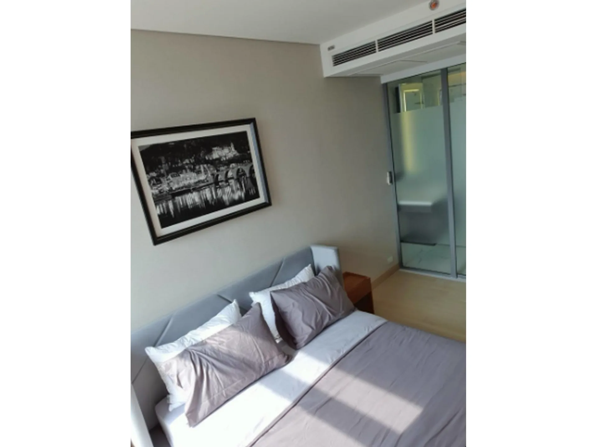 Property photos for Siamese Exclusive Queens