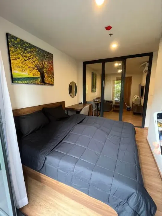Property photos for The Line Vibe