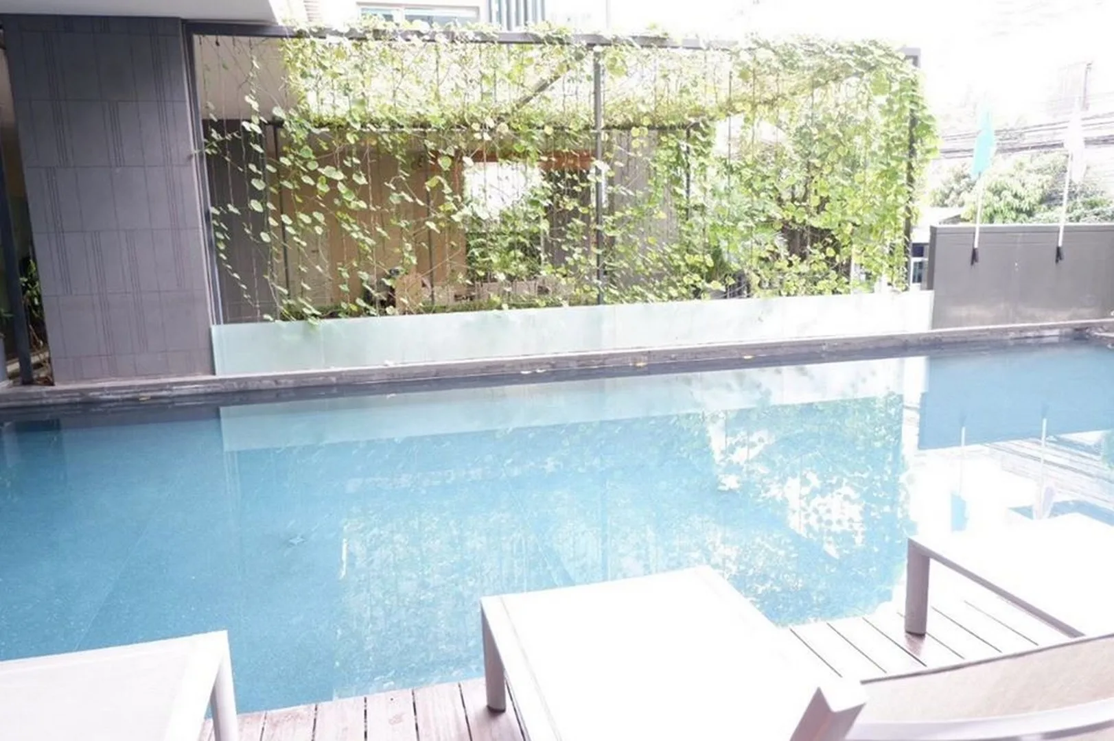 Property photos for Siamese Thirty Nine