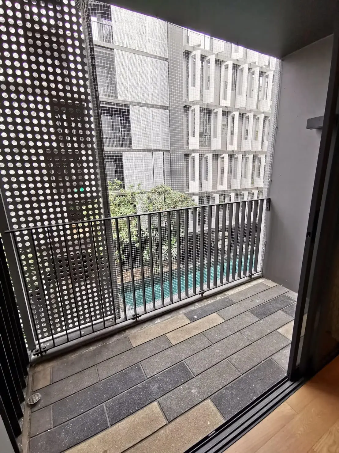 Property photos for Siamese Gioia