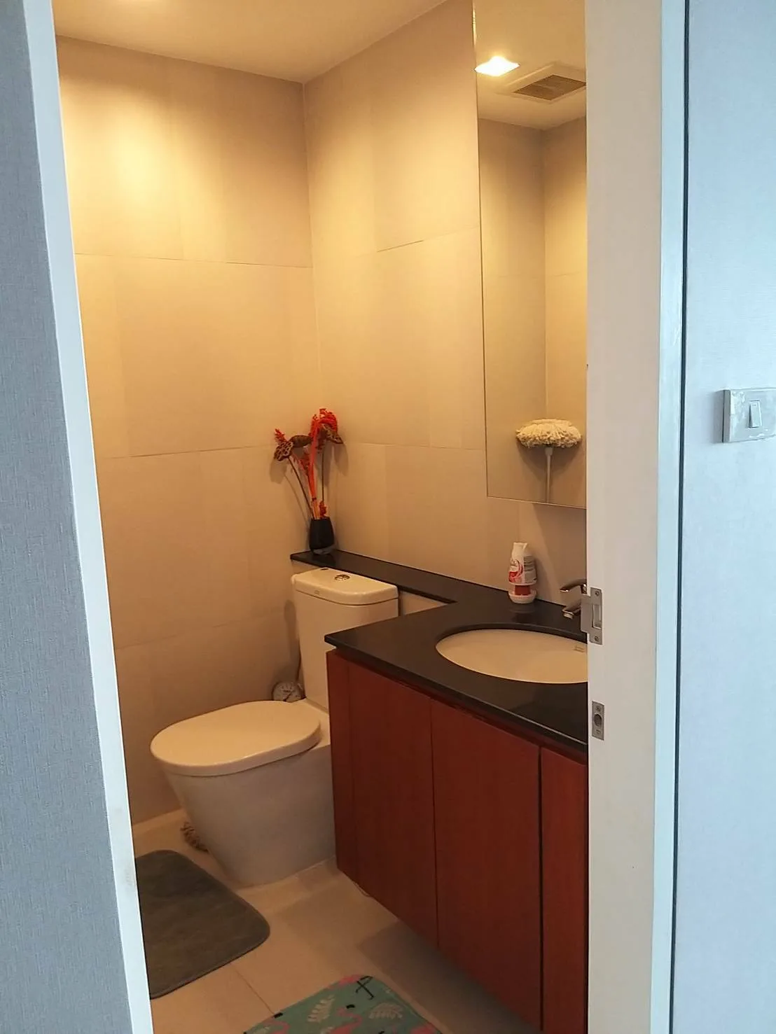 Property photos for Amanta Lumpini