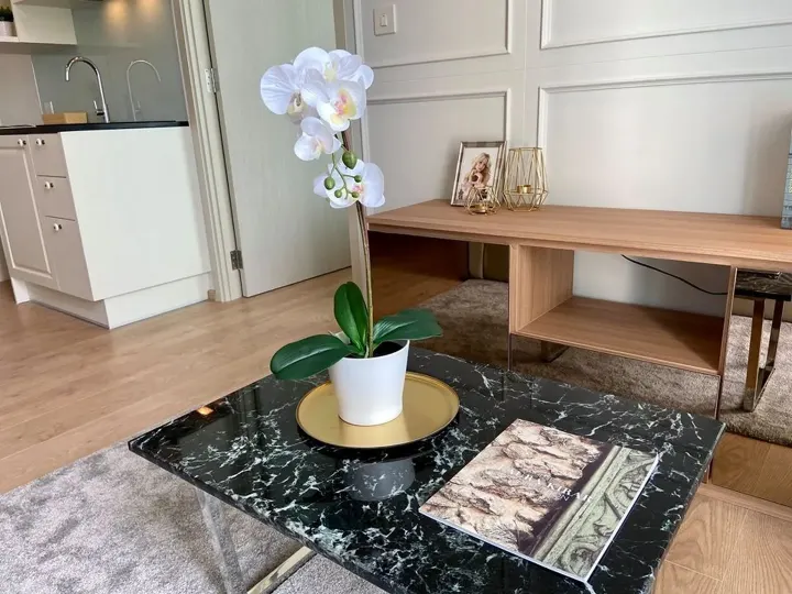 Property photos for Noble Recole
