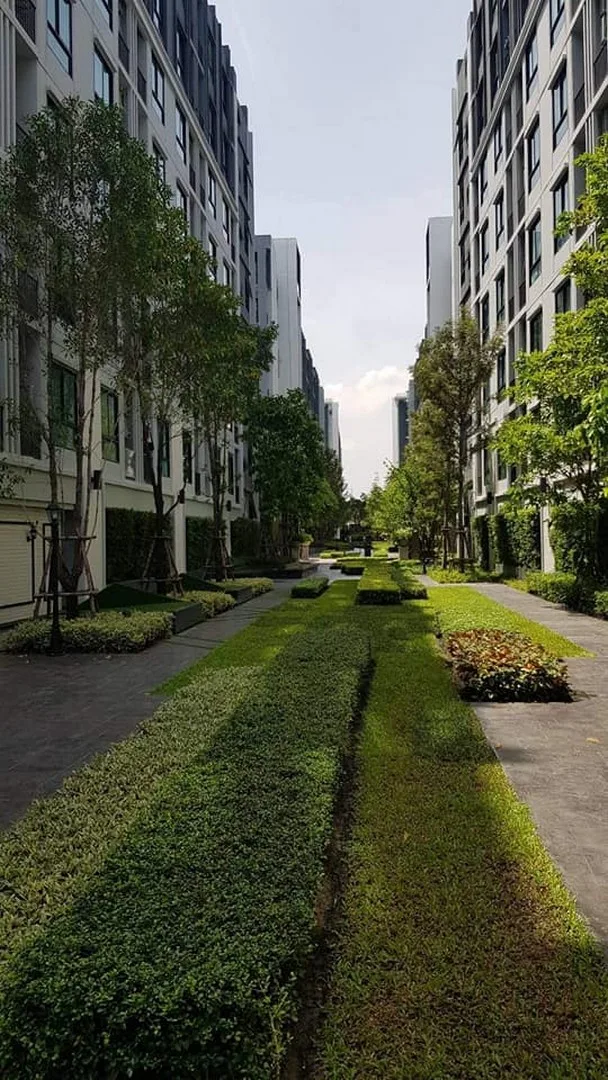 Property photos for Notting Hill ??? Sukhumvit 105