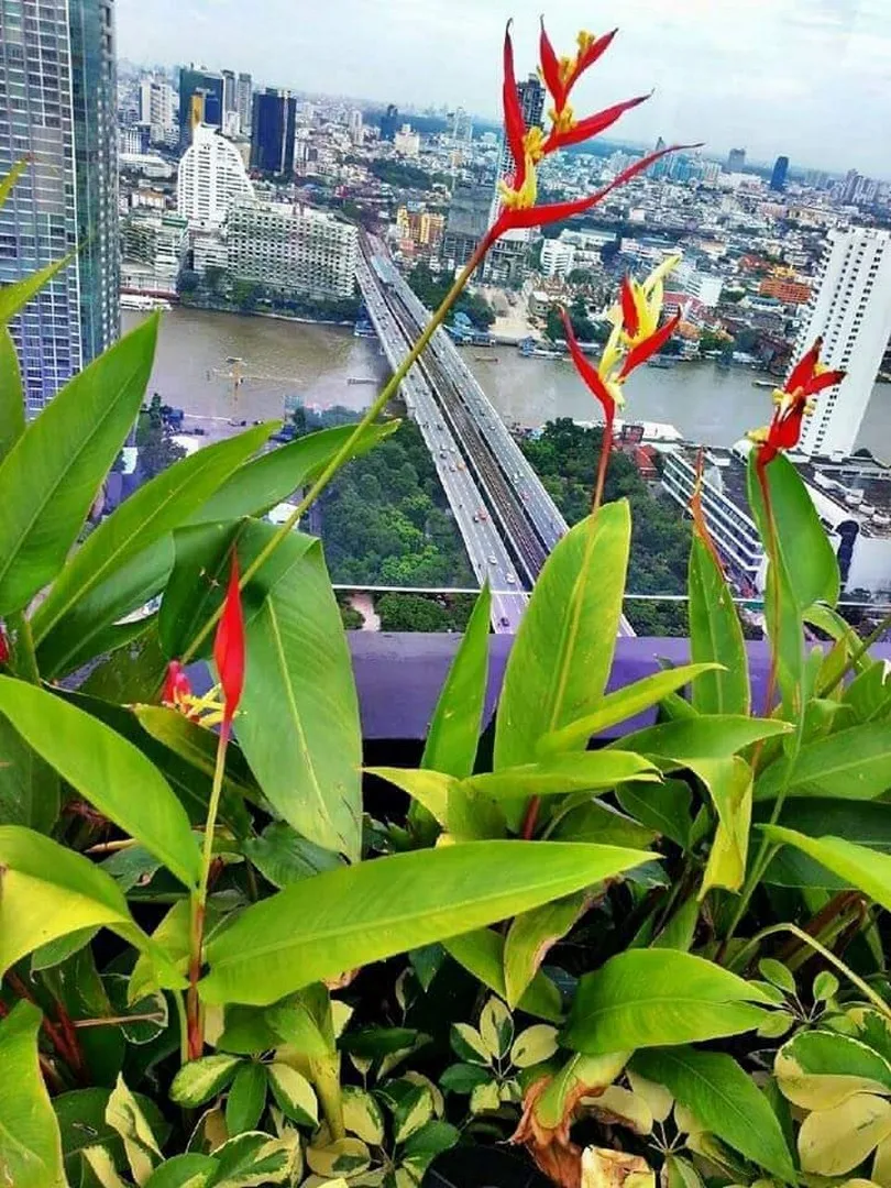 Property photos for Urbano Absolute Sathon - Taksin