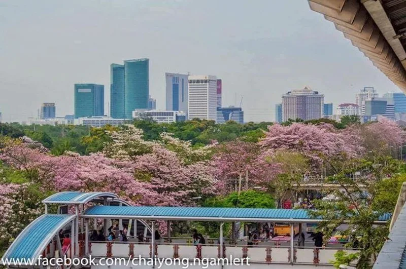 Property photos for THE LINE Jatujak - Mochit