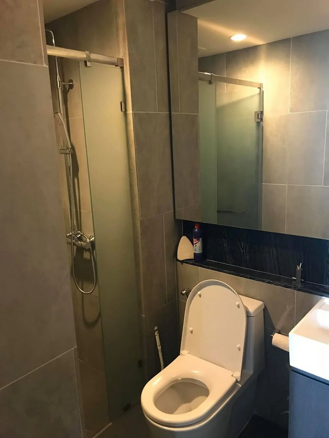 Property photos for The Lumpini 24