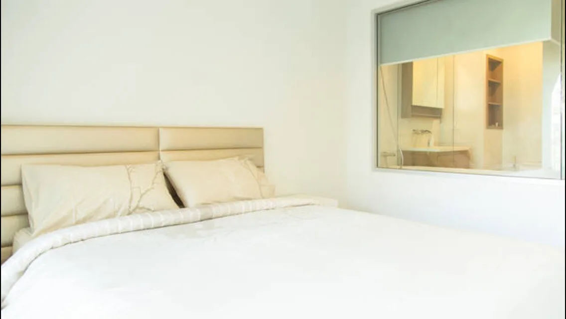 Property photos for The Seed Musee