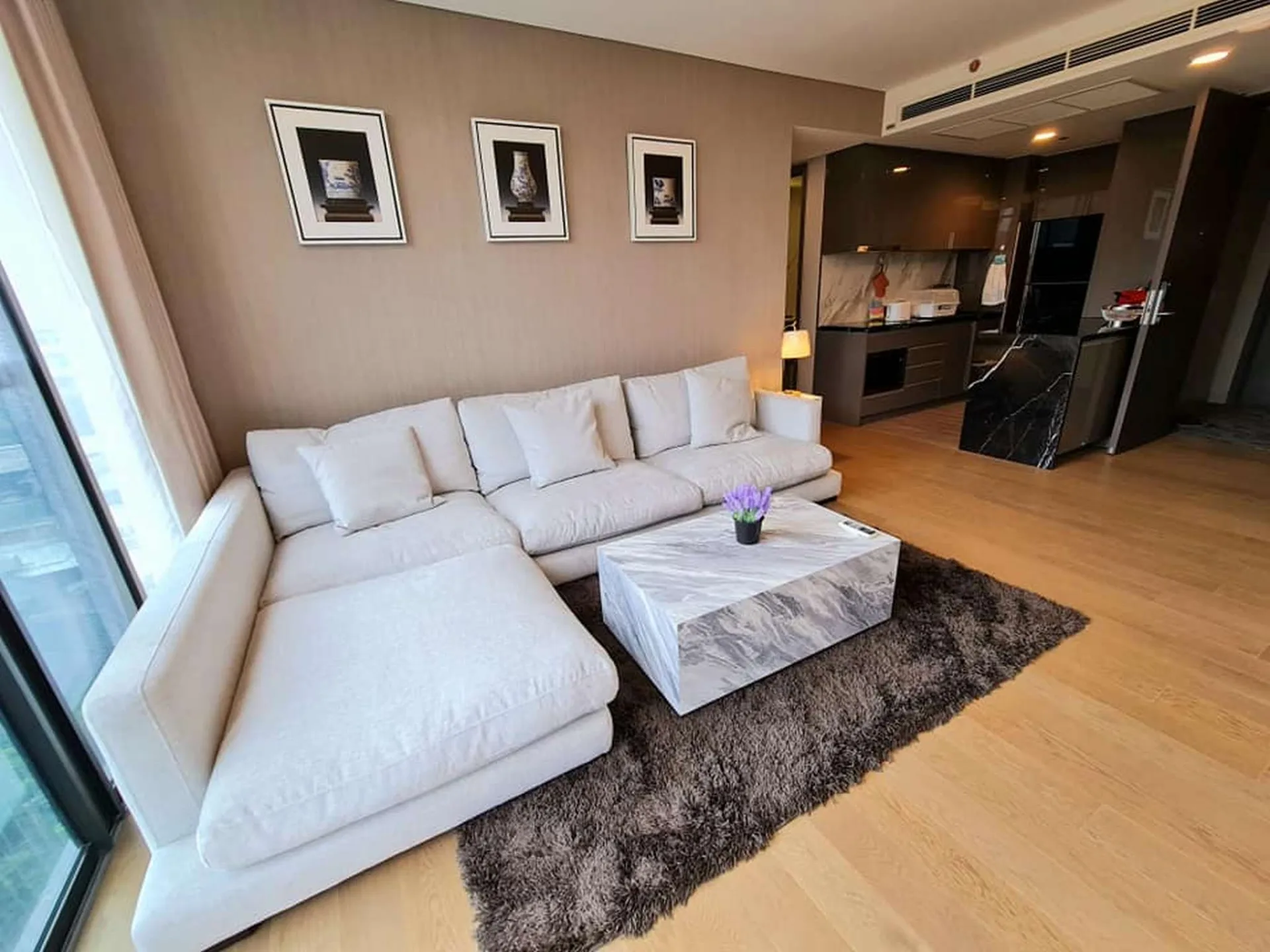 Property photos for Siamese Exclusive Queens