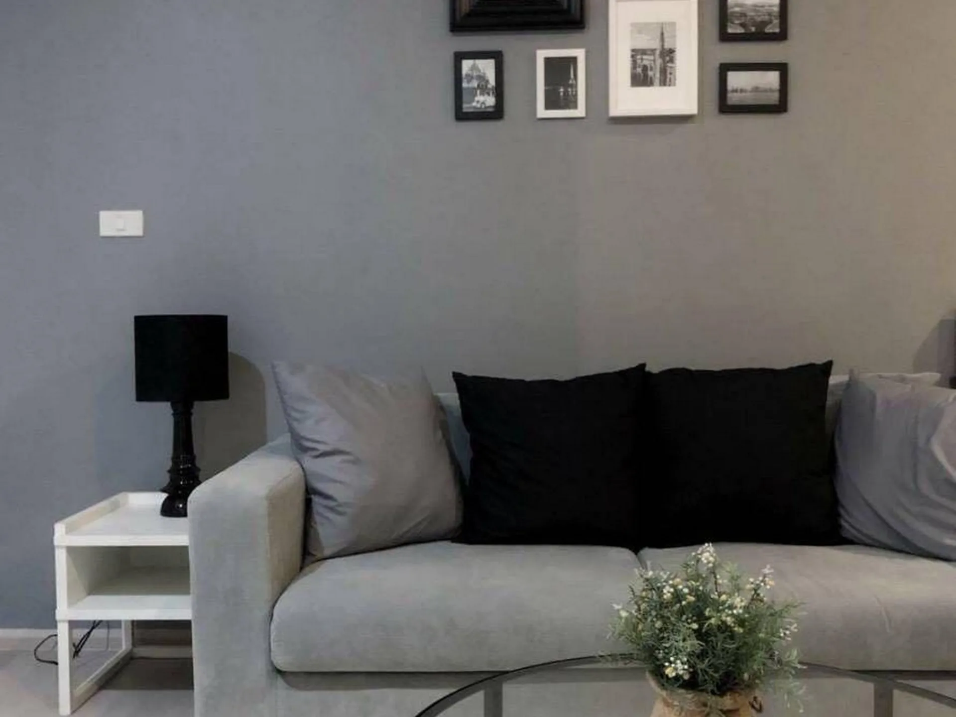Property photos for Noble Solo