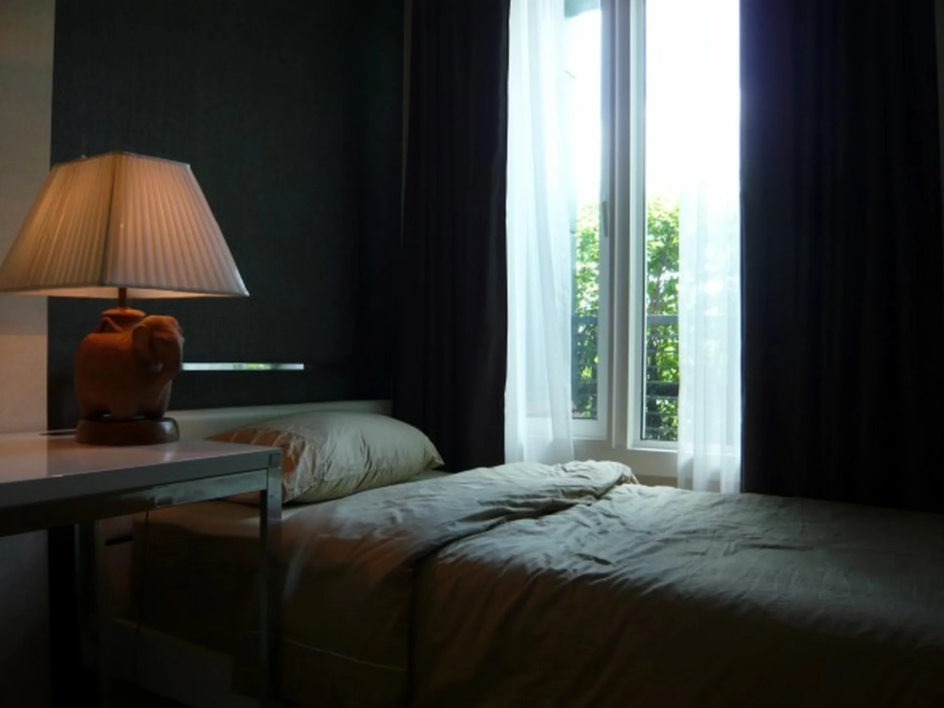 Property photos for The Parkland Taksin - Thapra