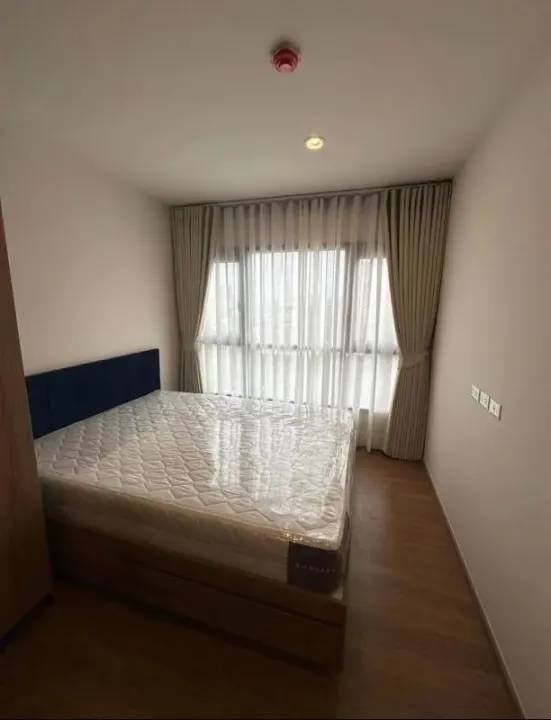 Property photos for The Line Vibe