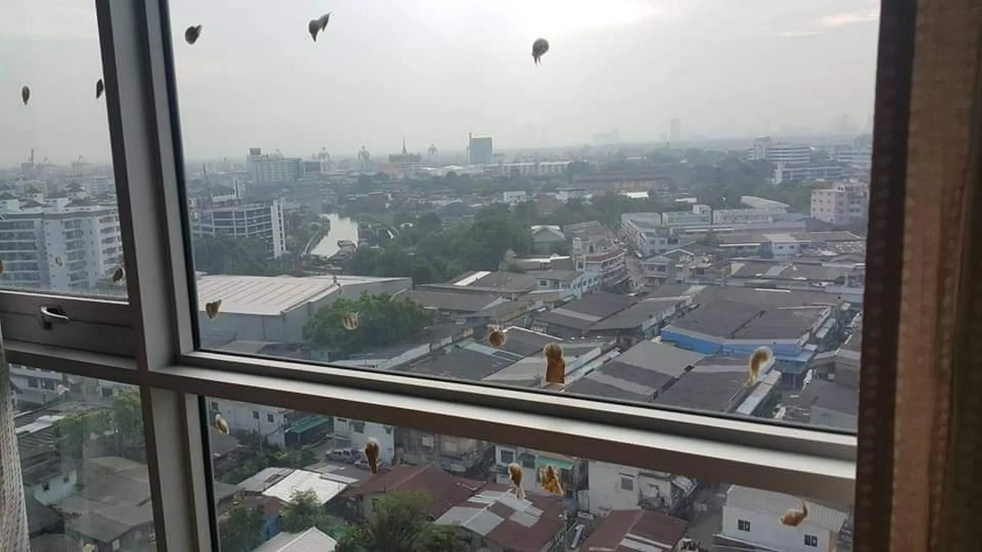 Property photos for Aspire Sukhumvit 48