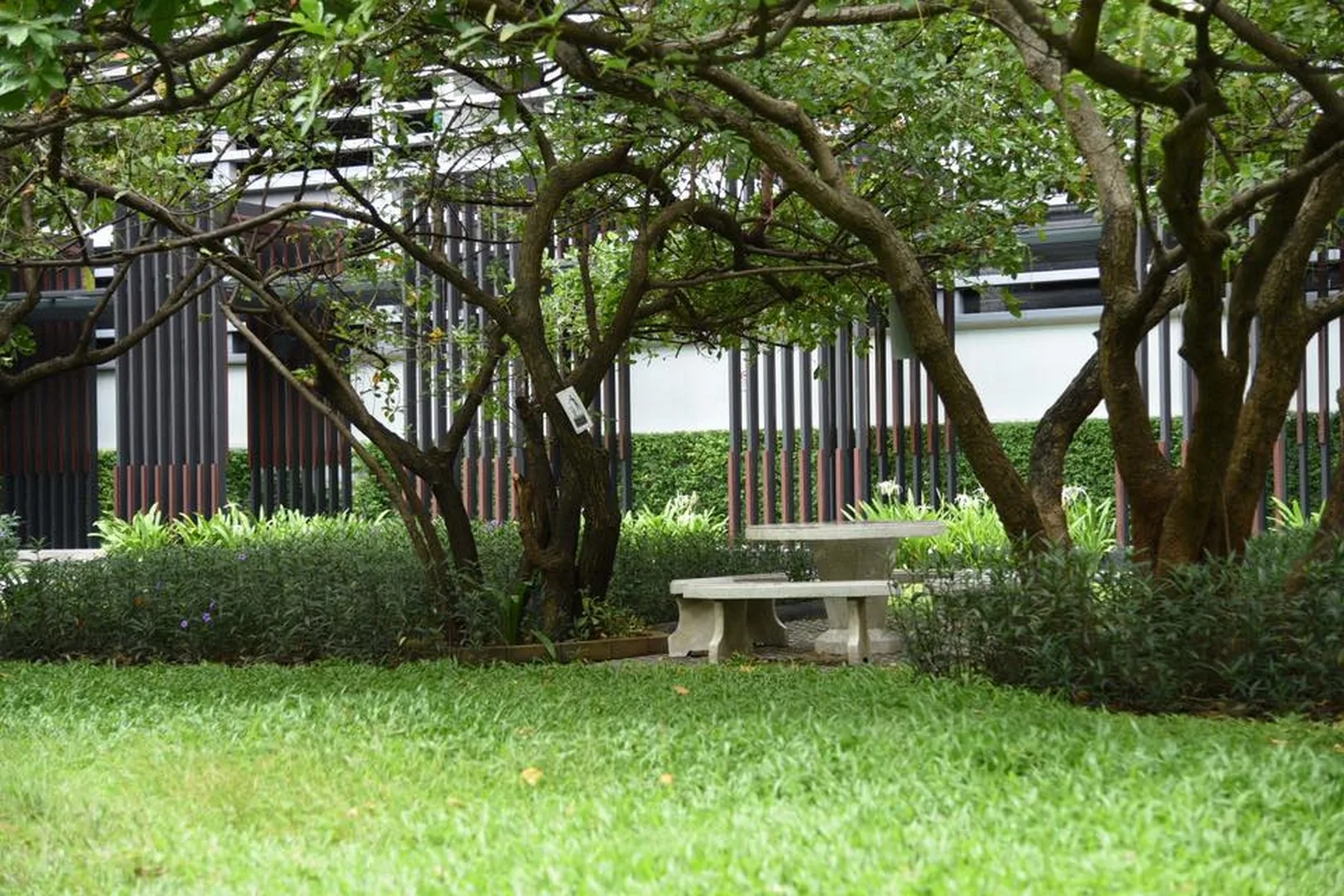 Property photos for The Parkland Taksin - Thapra