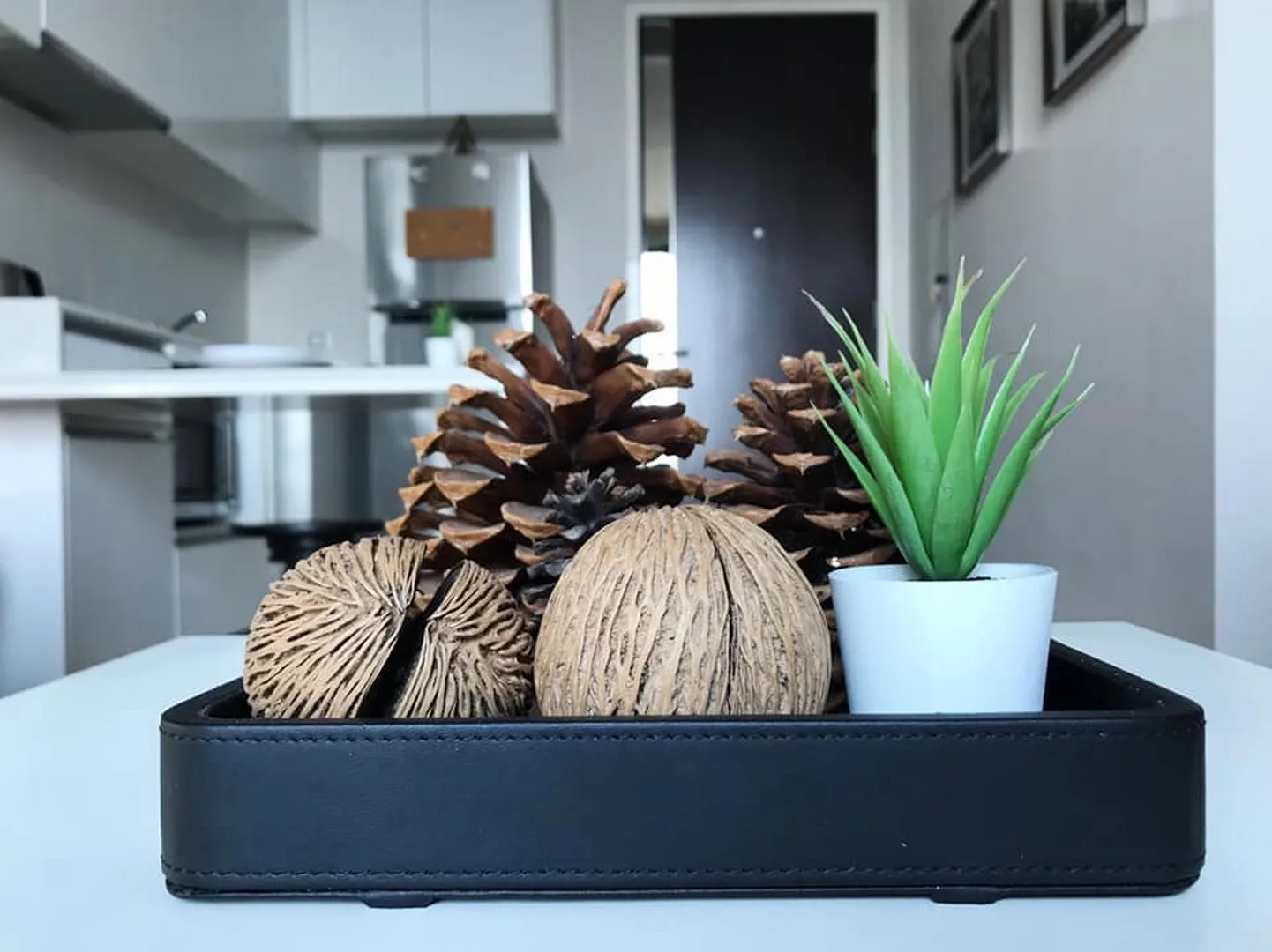 Property photos for Equinox