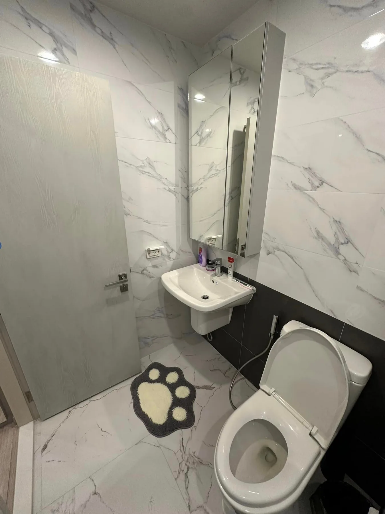 Property photos for Niche Pride Taopoon - Interchange