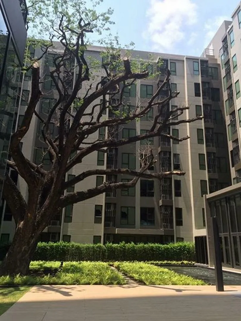 Property photos for Centric Ari Station