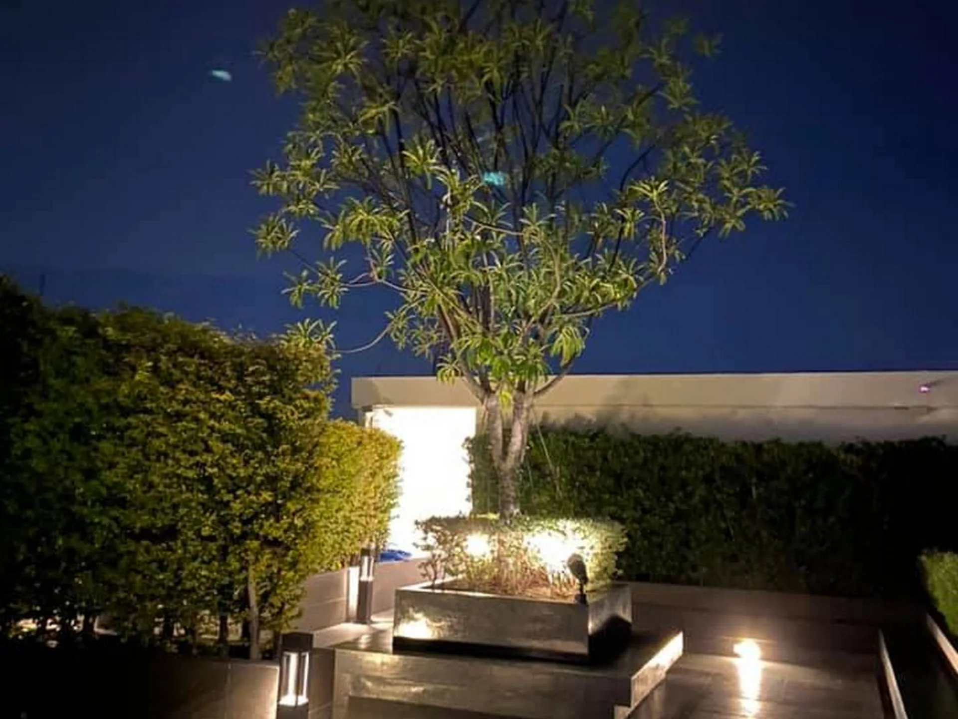 Property photos for Notting Hill ??? Sukhumvit 105