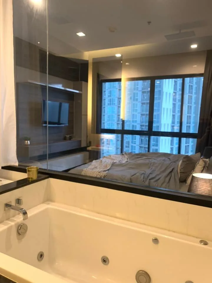 Property photos for Ivy Ampio