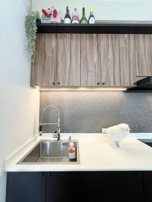 Property photos for Villaggio Srinakarin-bangna