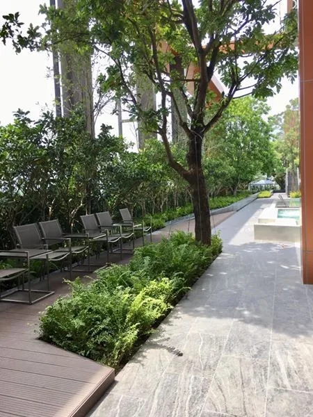 Property photos for Whizdom Avenue Ratchada - Ladprao