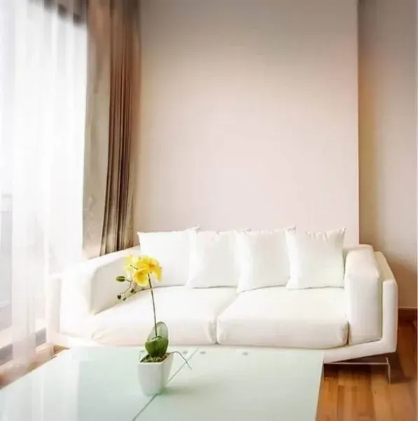 Property photos for Ivy Ampio