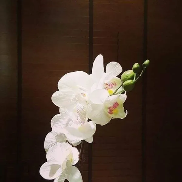 Property photos for Life Sukhumvit 48