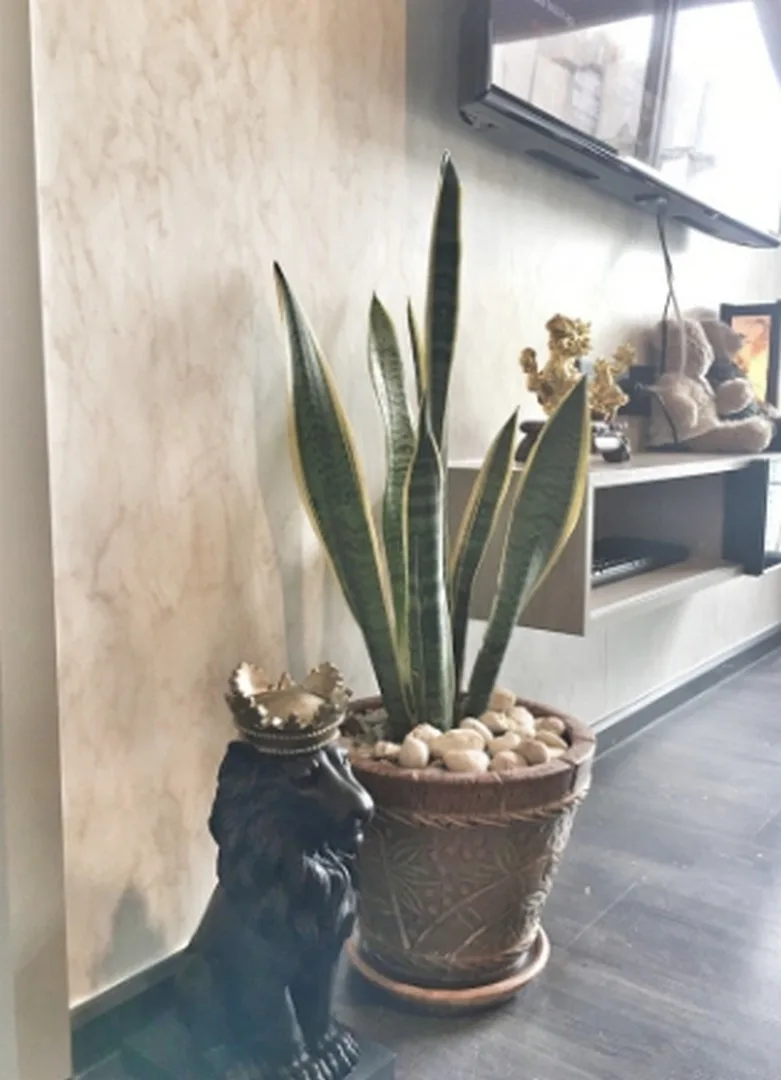 Property photos for The Line Asoke - Ratchada