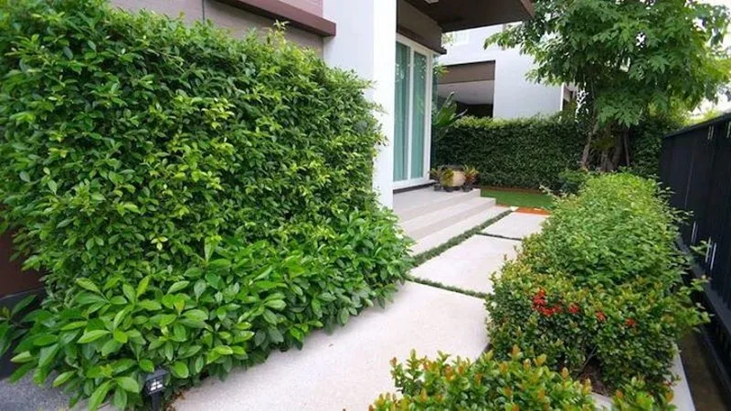 Property photos for Laddarom Bangna Km.  7