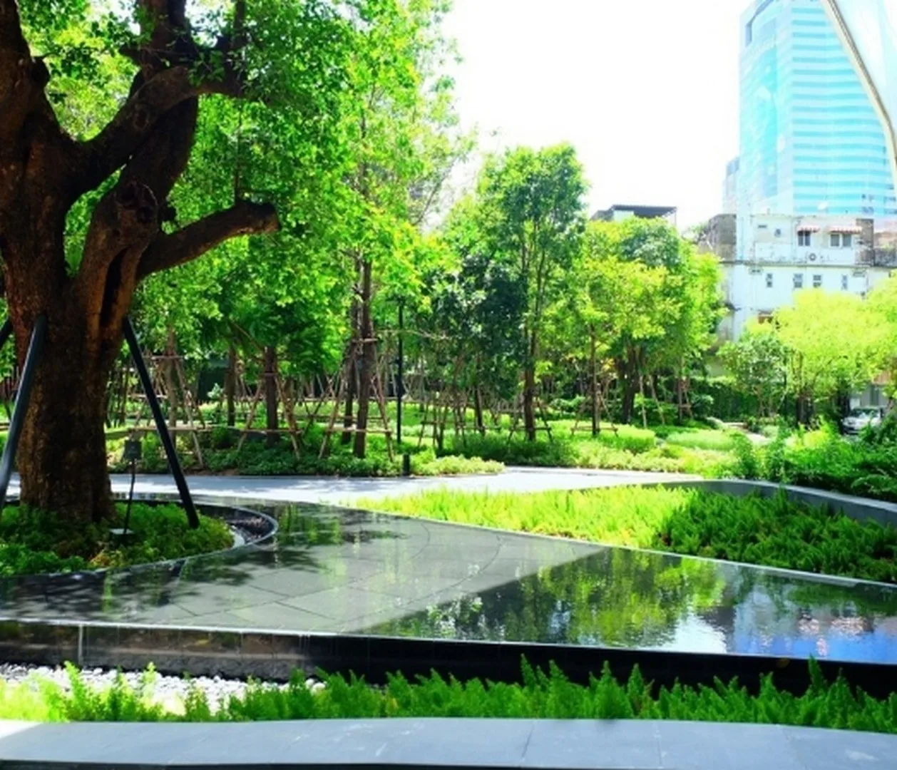 Property photos for THE LINE Jatujak - Mochit