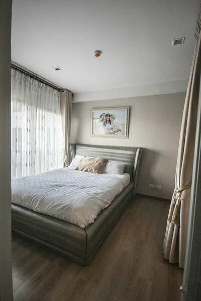 Property photos for The Seed Musee