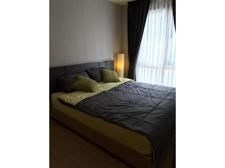 Property photos for Maestro 12