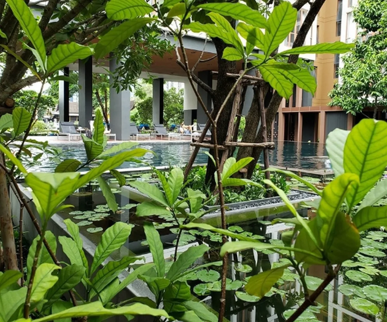 Property photos for Hasu Haus