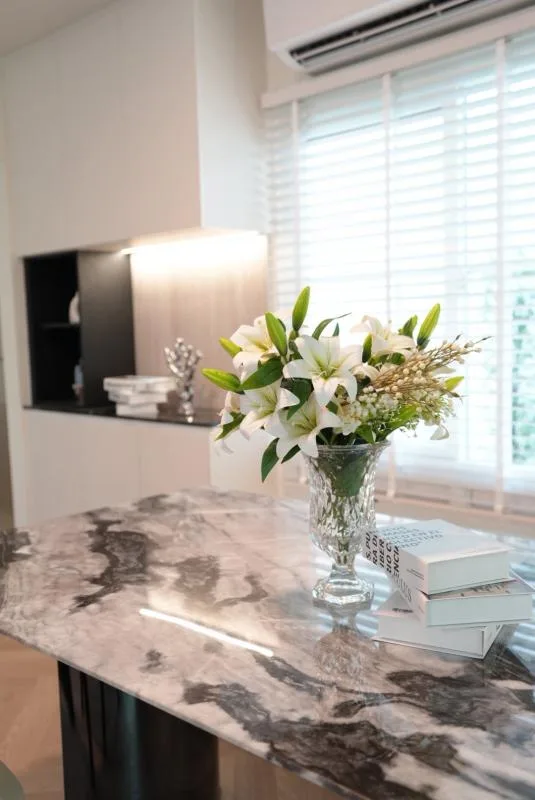 Property photos for Villaggio Srinakarin-bangna