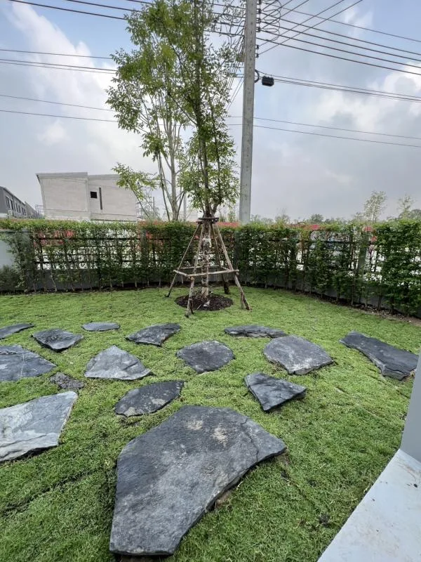 Property photos for Pleno Sukhumvit-bangna 2