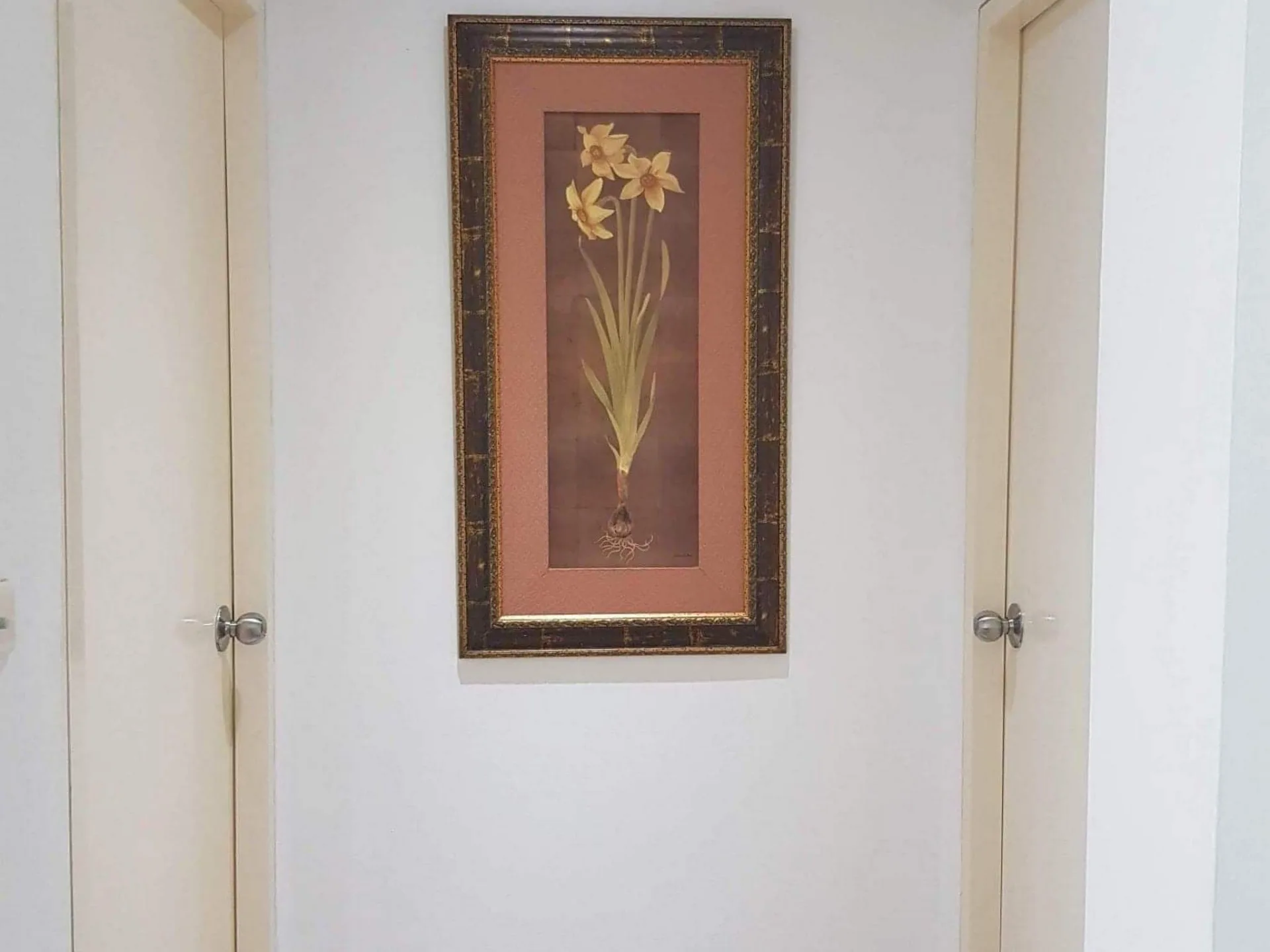 Property photos for Plus 38 Hip