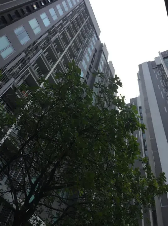 Property photos for Ceil by Sansiri