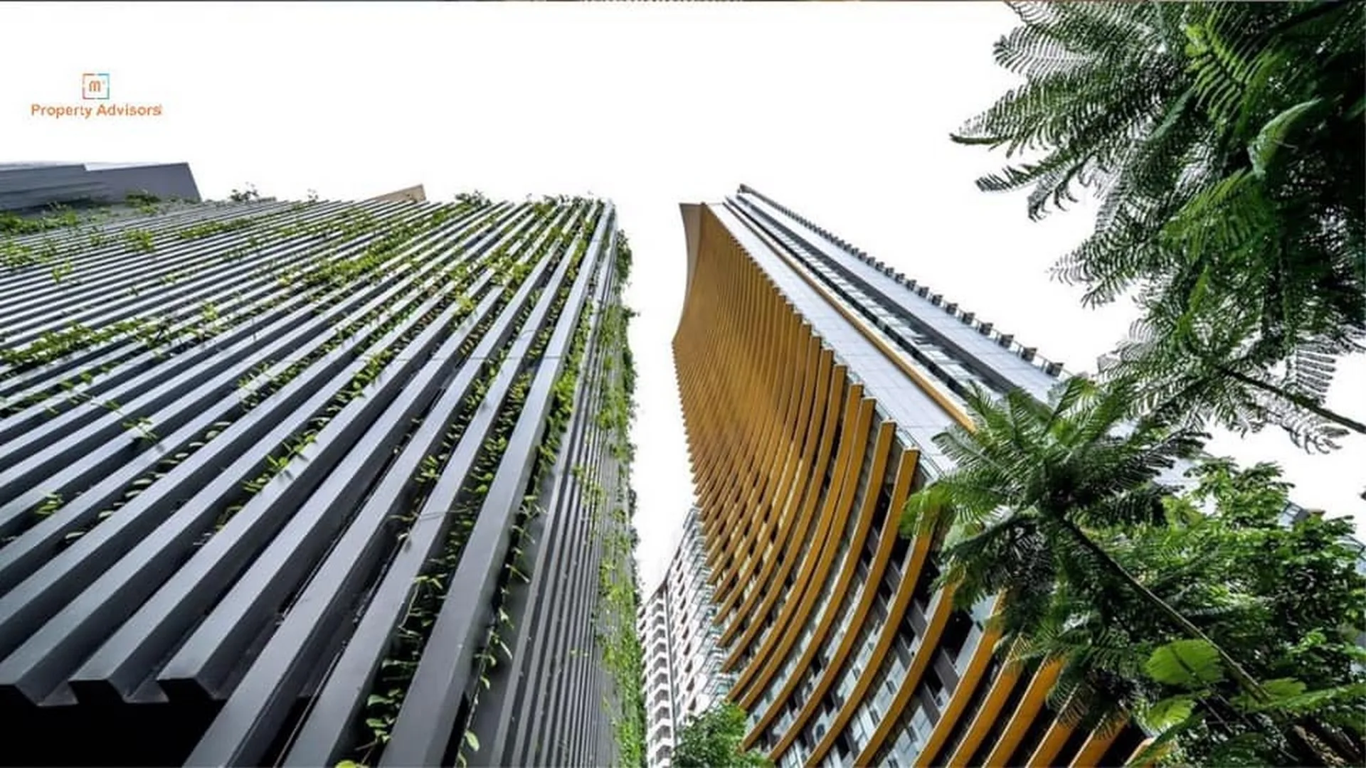 Property photos for The Lumpini 24