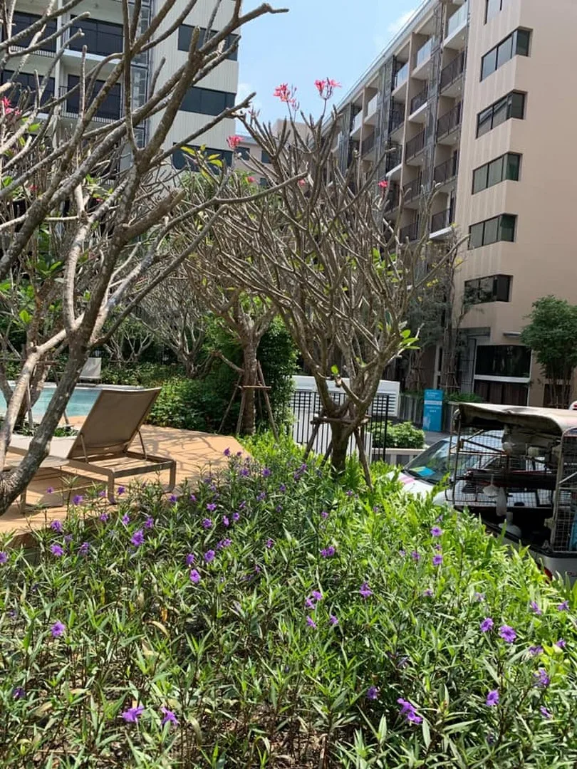 Property photos for Blossom Condo @ Sathorn - Charoenrat