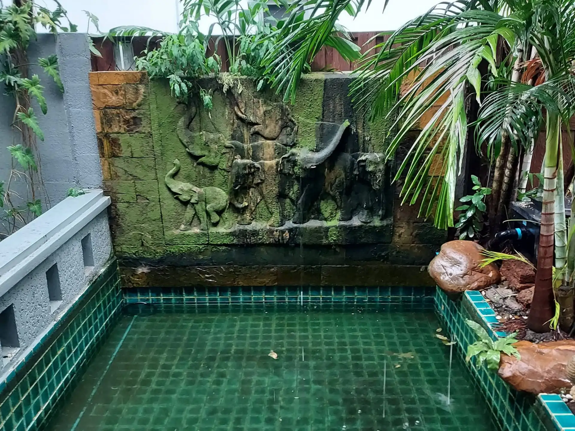 Property photos for Noble Tara Town in Town