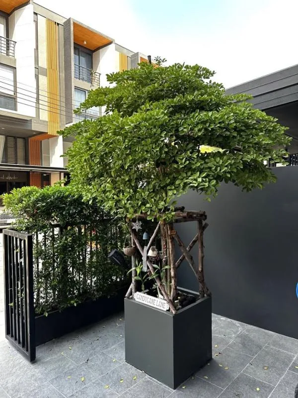 Property photos for Shizen Phatthanakan 32