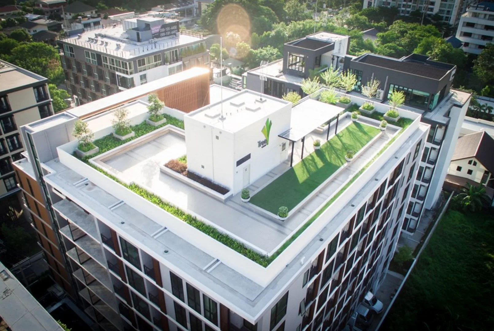 Property photos for Tree Condo Sukhumvit 50