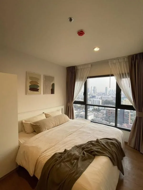 Property photos for The Line Vibe