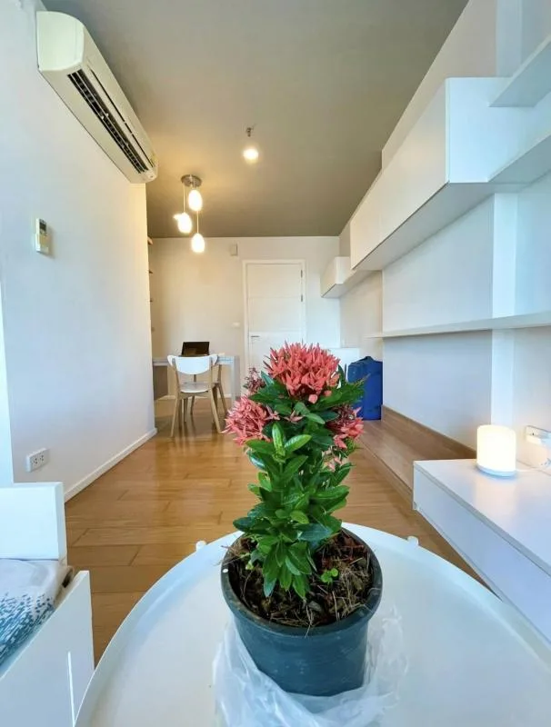 Property photos for Blocs 77