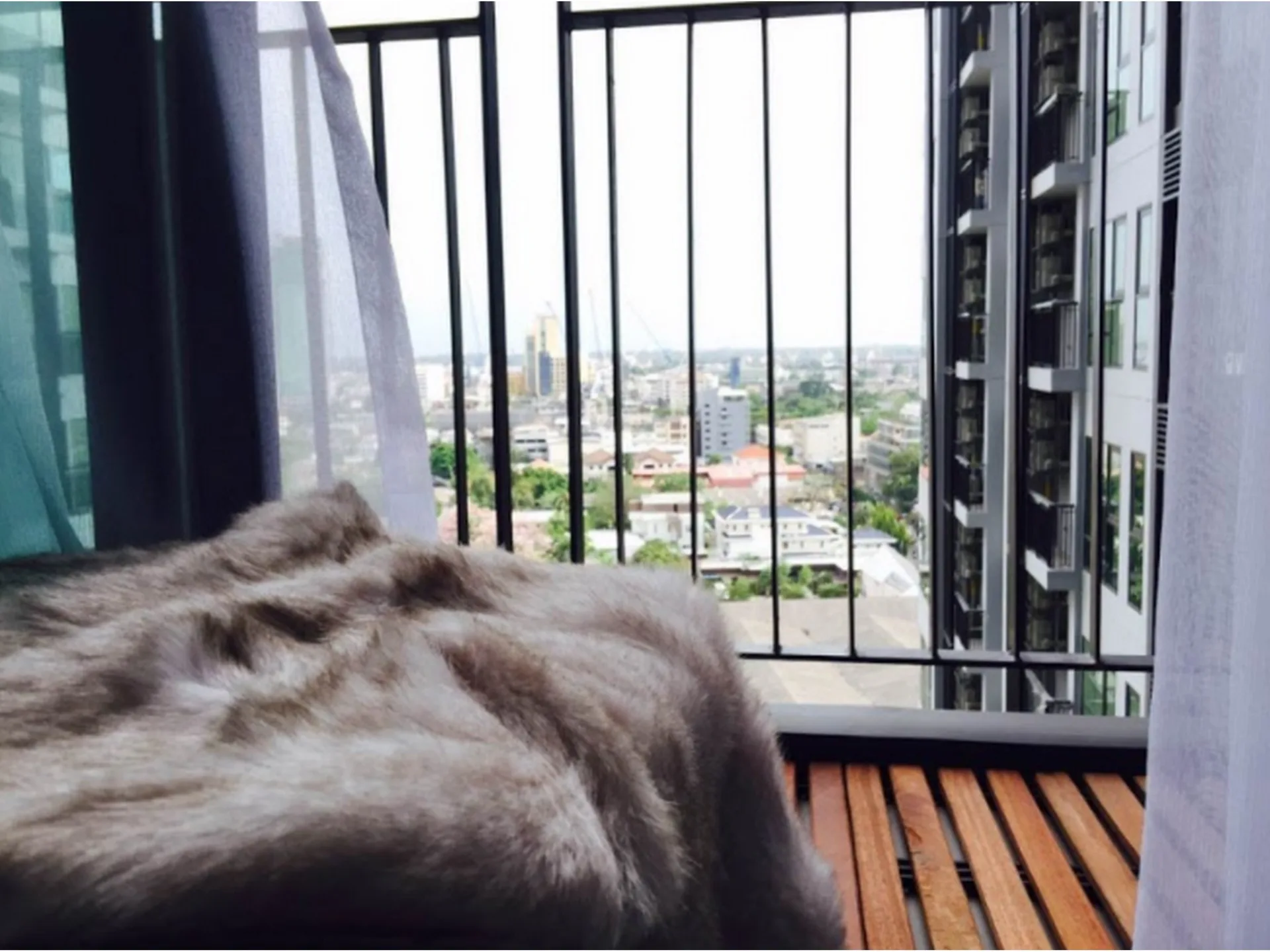 Property photos for Rhythm Sukhumvit 36 - 38